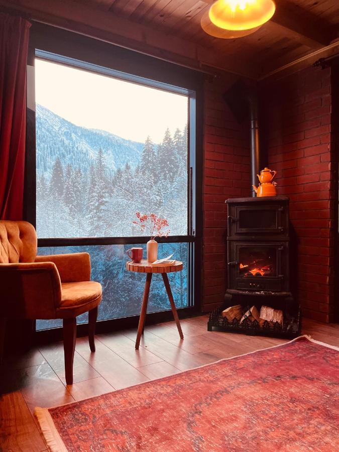 Kukudi House Villa Ayder Yaylasi Kültér fotó
